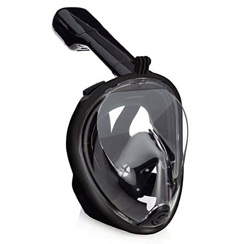 Snorkel Mask: (Black, L - XL)