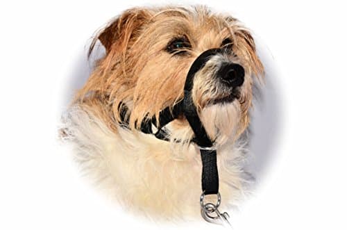 MALWERA BLACK STOPS PULLING COLLAR for PUPPY DOG TRAINING Head Muzzle Halter Halti Clip On (2)