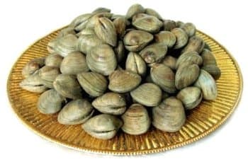 100 Live Littleneck Clams