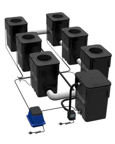 Current Culture Under Current 6 XL13