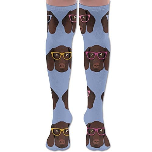 German Shorthaired Pointer In Glasses Over Knee High Boots Long Socks For Women &amp; Girls