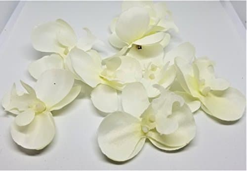 Artificial Orchids Flowers (Small Light Cream - 10 pcs, 2.5")