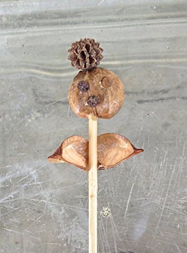 Funky Plant Stakes, Garden Stakes
