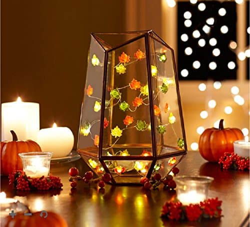 Order Home Collection 10 Ft Decorative String, 40 Count LED Indoor/Outdoor Lighted Fairy Mini Harvest Fall Thanksgiving Leaves Ornament Battery Operated Lights with Built in 4-Hour Timer