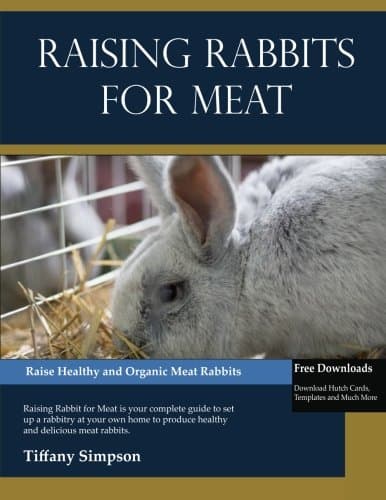 Raising Rabbits For Meat