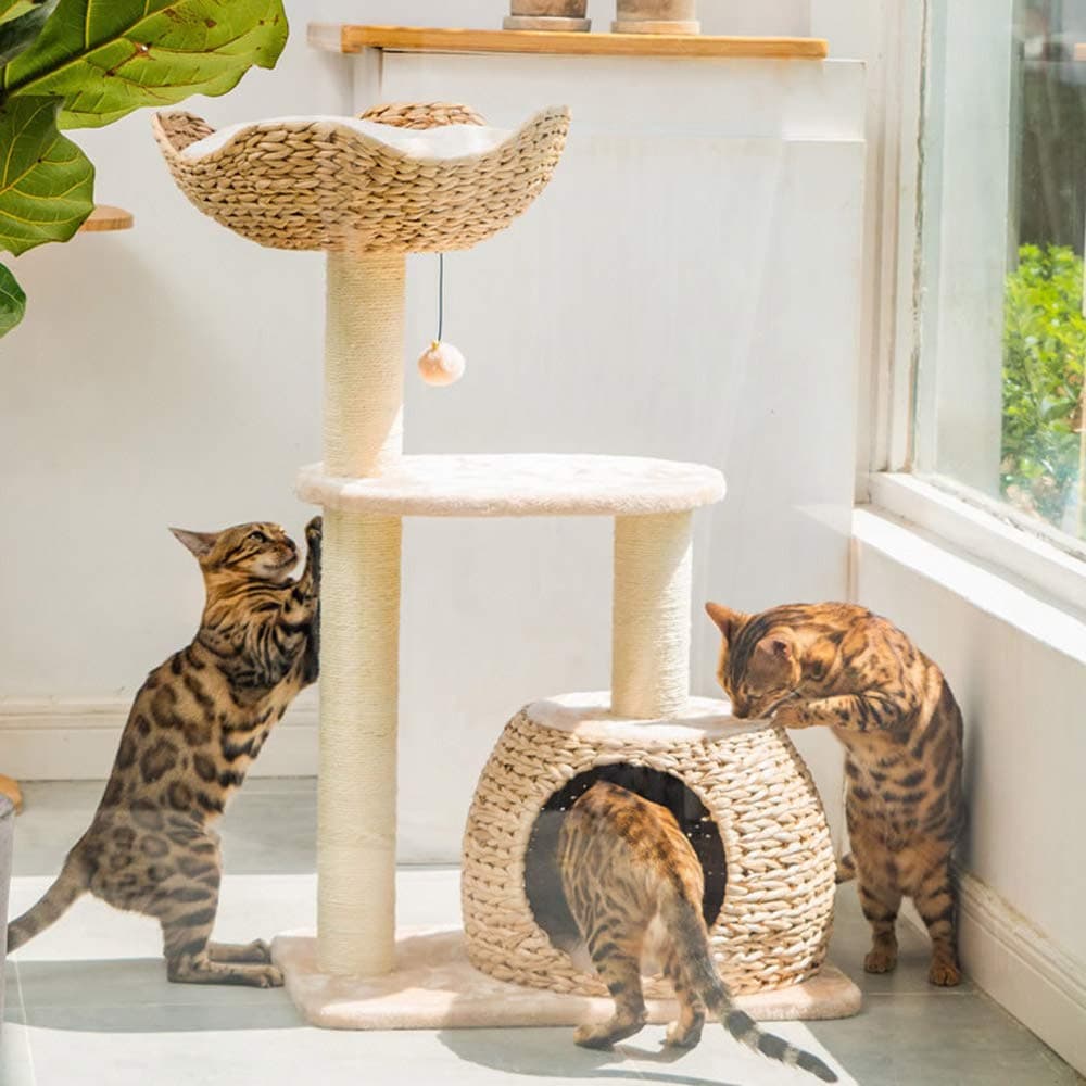 YMGW Hand Made Cat Tree with Scratching Posts, Cat Tower Activity Centre with Condo/DanglingToys, 60×40×90CM