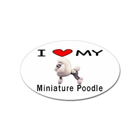 I Love My Miniature Poodle Oval Magnet