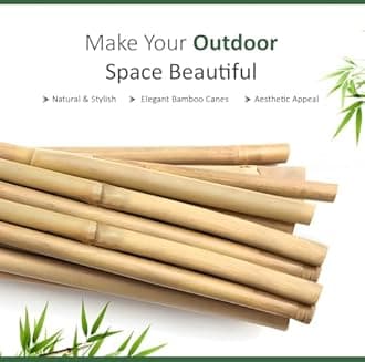 Blado Thick Bamboo Canes - Heavy Duty, Natural Garden Stakes, Strong Bamboo Sticks for Plant Support - Ideal for Gardens and Outdoor Spaces 2FT, 3FT, 4FT, 5FT, 6FT (30, 3ft, 10-12mm)