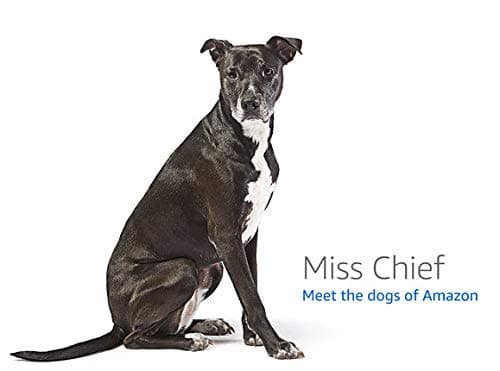 USB C Hub, 7 in 1 Multi-Port Type C Adapter Thunderbolt 3 with Type C PD 2.0 Charging Port, HDMI Output,3 USB 3.0 Ports, SD/MicroSD Card Reader for MacBook/MacBook pro/Chromebook/DELL XP and More