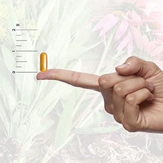 Nature's Answer Female Complex, 90 Vcaps