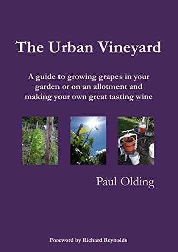 The Urban Vineyard Paperback – 1 Dec. 2015