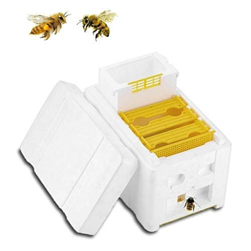 TANGON Flow Beehive Box Honey Plastic Frames Beekeeping Equipment Kit, Beekeeping Beehive Tools for Beekeepers (A)