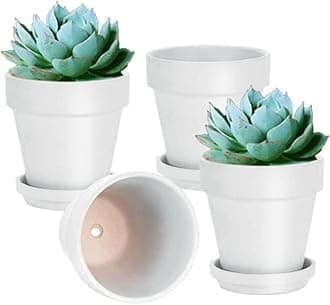 6 Inch White Terracotta & Clay Pots for Plant with Saucer - 4 Pack Medium Terra Cotta Planter with Drainage Hole, Flowerpot for Indoor Outdoor Plants, Crafts, Wedding Favor