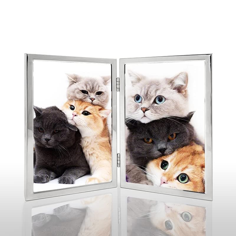 4x6 Picture Frame Double Hinged Silver Metal Thin Edge Frame with High Definition Glass Front Folding Frames Stand Vertically on Tabletop,Silver