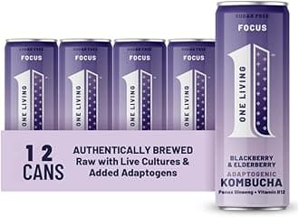 One Living Plus Focus Kombucha Drink - Blackberry and Elderberry 12x 250ml Cans - Authentically Brewed Kombucha with Live Cultures - Added Panax Ginseng and Vitamin B12