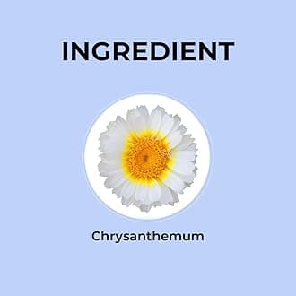 BLUE TEA - Chrysanthemum Flower Tea - 20gm - 20 Cups || SUPER ANTIOXIDANT || Cooling And Refreshing | Flower Based - Herbal Tea - Caffeine Free - Non-GMO | Featured In Shark Tank | Pet Jar Packaging