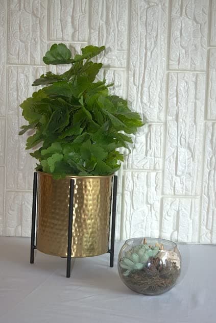 Rolli Stylish Hammered Planter with Stand, Boasting a Stunning EPL Brass and Black Finish and Handcrafted from Iron Material, for Indoor or Outdoor Space