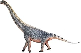 XINPANYIAN HAOLONGGOOD Brachiosaurus Prehistoric Animal Dinosaur Model with Huayangosaurus Figure (Color A)