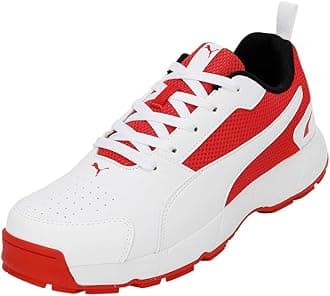 PUMA Men's Cricket