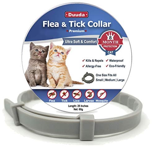 Vet Solutions ProBiolac for Kittens (200 gm)