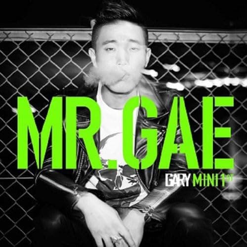 Mr.Gae Mini Album