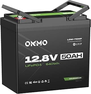 12V 50Ah Trolling Motor LiFePO4 Lithium Battery Mini, 10 Years lifetime 8000+ Deep Cycles, for 30~50lb Kayak,Marine Motor,Boat,Camper, Power Wheels Toys, Iron Phosphate