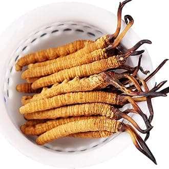 10 Grams 100% Wild Himalayan Cordyceps Sinensis Chinese Caterpillar Fungus Dong Chong Xia Cao Cordyceps Sinensis Wild Cordyceps.