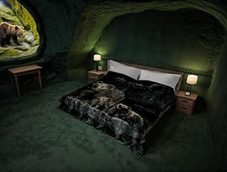 SOLARON Korean Super Thick Heavy Weight Mink Blanket (Queen, Bear and Cubs Green)