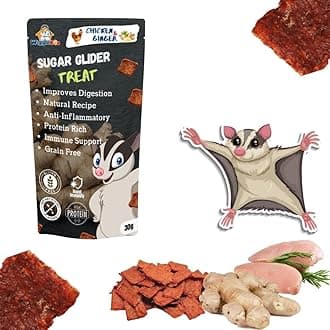 Chicken & Ginger Suger Glider Treat | Travel Friendly Pack | Protein Rich | Anti-Inflammatory | Crunchy Healthy Snacks | 30g