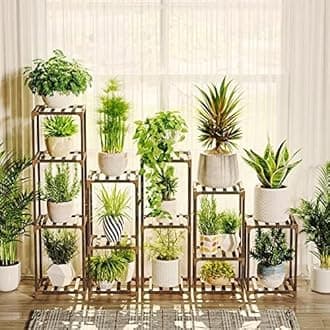 Bamworld 5 Sets Plant Stands Indoor Outdoor Combo Plant Shelves Wooden Plant Holder Rack for Multiple Plants Flower Stands for Living Room Balcony Garden Patio Lawn Window