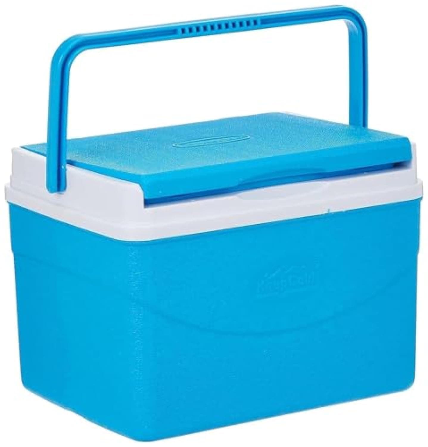 Cosmoplast Keep Cold Plastic Picnic Cooler Icebox Lunchbox