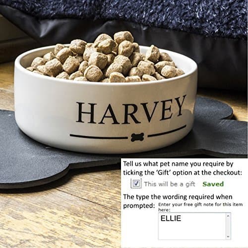 Personalised ceramic dog bowl with bone motif.