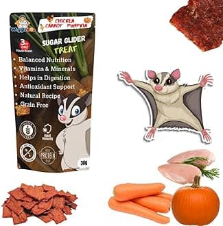 Chicken, Carrot & Pumpkin Sugar Glider Treat | Travel Pack | Protein Rich | Natural Detoxifier | Crunchy Food Snack | 30g
