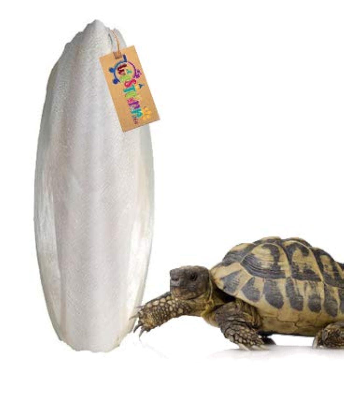 Western Era Natural High Calcium Source Cuttlebone Fish for Turtle (100grm)