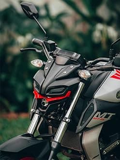 Meenu Arts MT15 Winglet