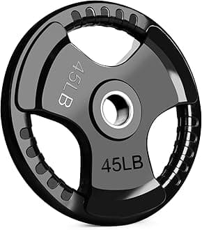 LIONSCOOL 2-Inch Rubber Coated Olympic Grip Plate in Pairs or Single for Strength Training, Weightlifting and Bodybuilding, Solid Cast Iron Weight Plates for Barbell, 2.5-45LBS, One Year Warranty