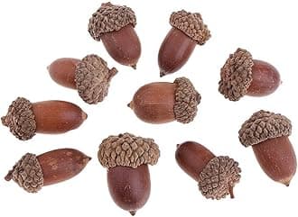 zalati Natural Acorns for Dried Table Ornament Christmas Home Decoration DIY