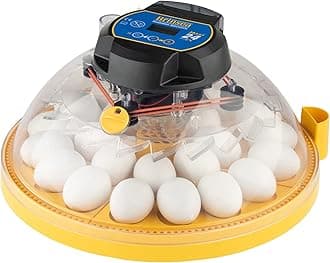 Brinsea Maxi 24 EX Egg Incubator with Automatic Humidity Control and Egg Turning for Hatching 24 Chicken, Duck, or Other Eggs, Optimal Flexibility with Mix & Match Sizes