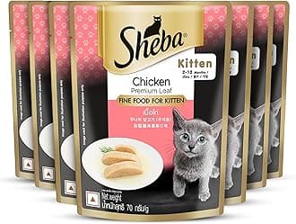 Fine Premium Kitten (2-12 Months) Wet Cat Food, Chicken Premium Loaf, 70 g Pouch, High-Moisture Gravy Kitten cat Food for Healthy Hydration (Pack of 7)