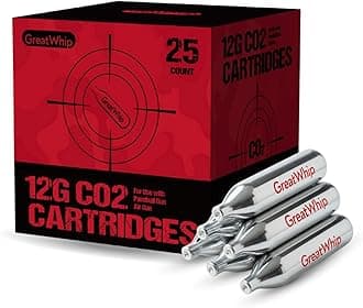 GreatWhip 25 x 12g CO2 Cartridges Non-Threaded Compatible to CO2 BB Gun, Air Gun, Airsoft Gun, Air Pistol, Air Rifle (25 Count)