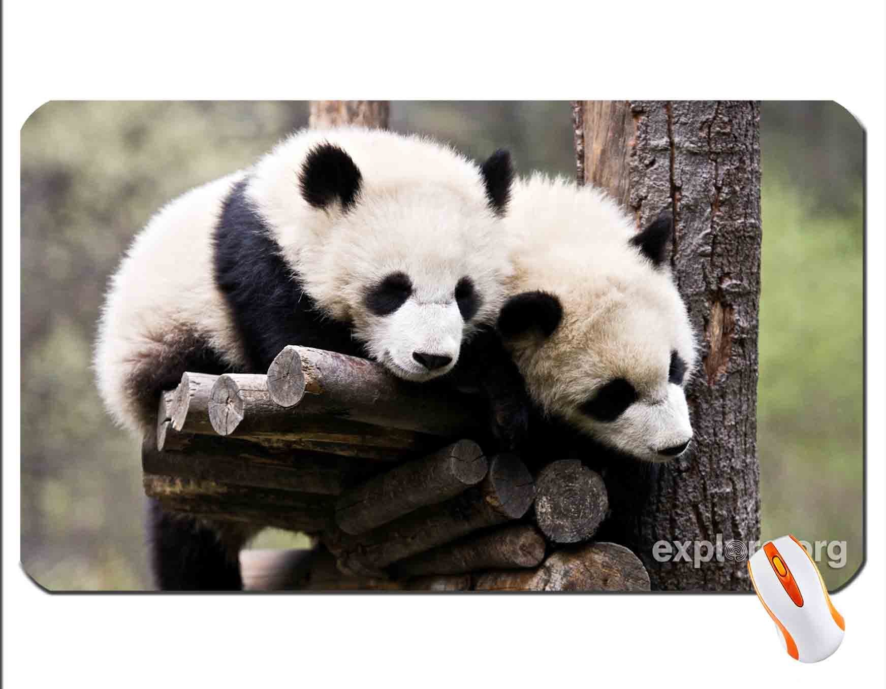 Ai que sono! wallpaper mouse pad super big mousepad Dimensions: 23.6 x 13.8 x 0.2inches(60x35x0.2cm)