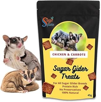 Sage Square Chicken & Carrot Sugar Glider Treat, Crunchy Protein Rich Snack, 45g