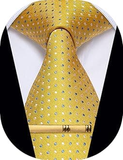 Men's Neckties Striped Tie and Plaid Neckties for Men Woven Silk Tie Gold Tie Clip Set