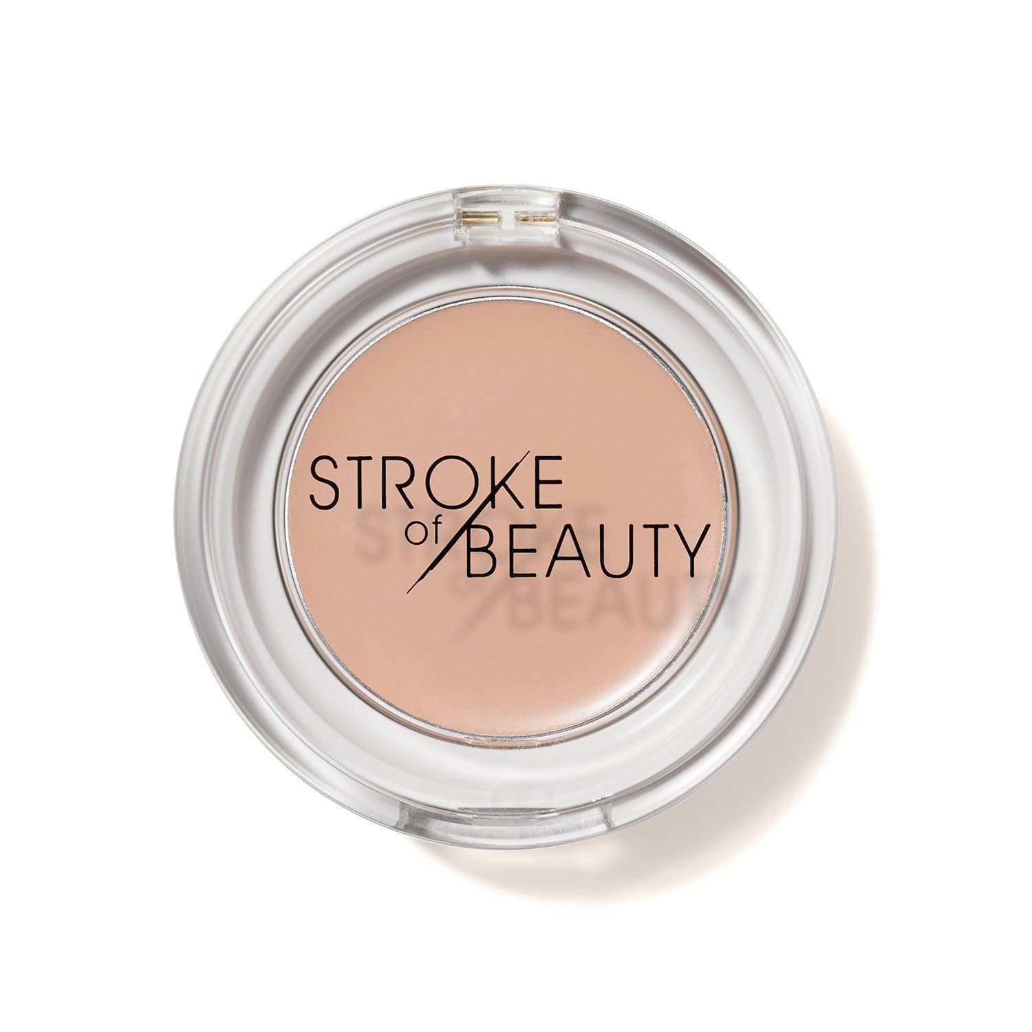 SKIN FINISH CONCEALER (Light)