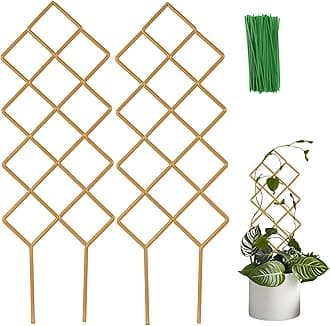 Metal Plant Trellis Indoor, 16.36 inch Small Trellis for Potted Plants Geometric Shape Lattice for Ivy Vines Hoya Houseplants Flower Support 2 Pack