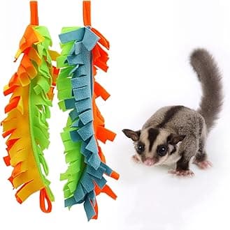 Sugar Glider Swing Toys