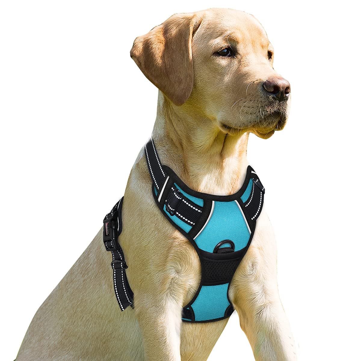 No Pull Dog Harness Front Clip Heavy Duty Reflective Easy Control Handle for Large Dog Walking(Blue,L)