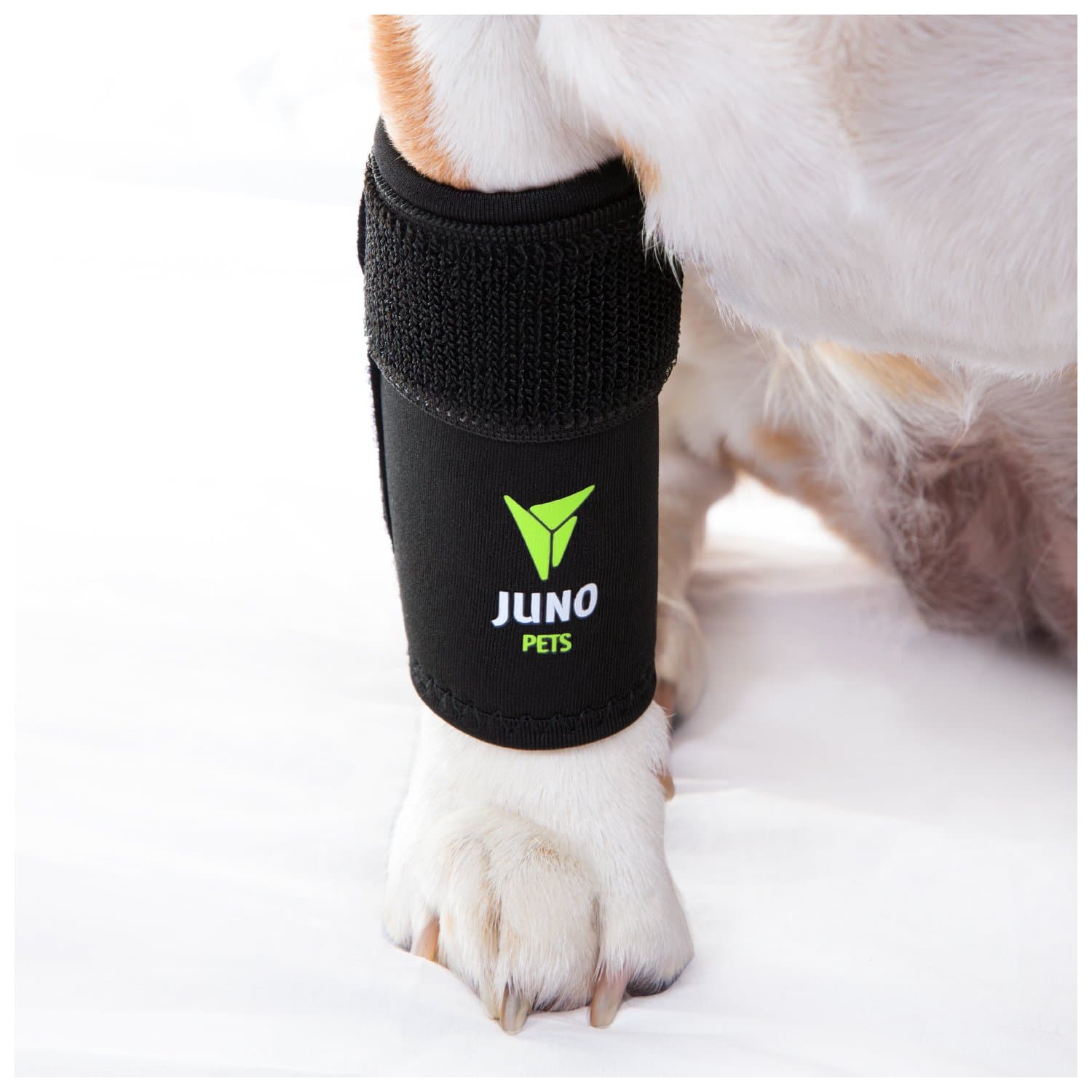 JunoPets Dog Canine Front Leg Brace, Compression Wrap for Heals and Prevents Injuries