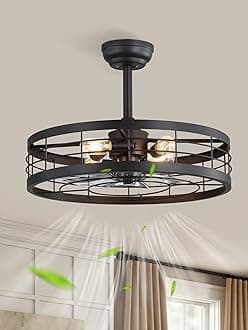 22 inch Black Caged Ceiling Fan with Light, Bladeless Industrial Ceiling Fan with Remote, Farmhouse Fan Lights Ceiling Fixtures for Kitchen, Bedroom, Outdoor（6 Speed, Timing）-Black