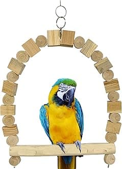 Congo® Dotted Perch Chew Swing Toy for Macaw, African Grey, Cockatoo and Large Birds | 24X18 Inch | Piece of 1